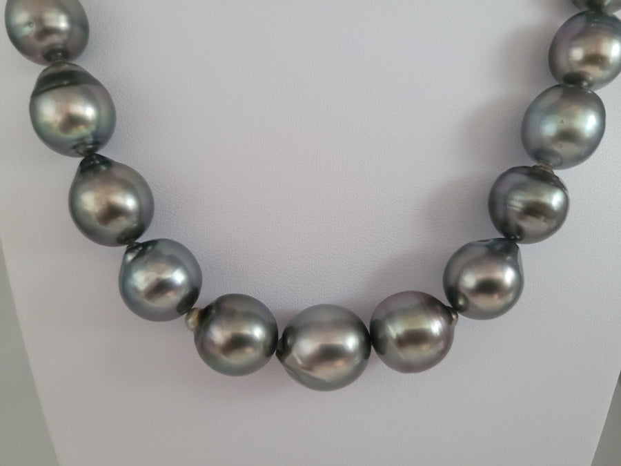 South Sea Pearls Complete Guide - The South Sea Pearl