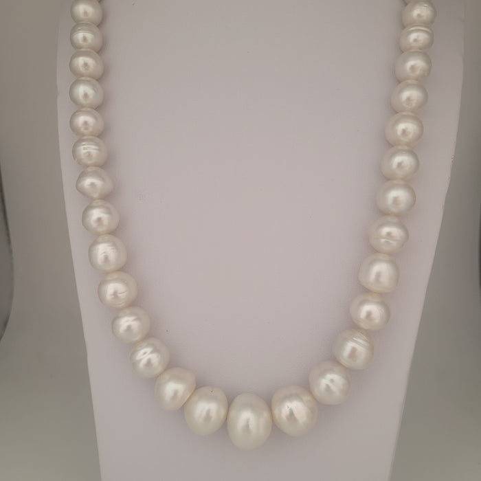 White South Sea Pearls 10-16 mm High Luster 18K Gold Clasp