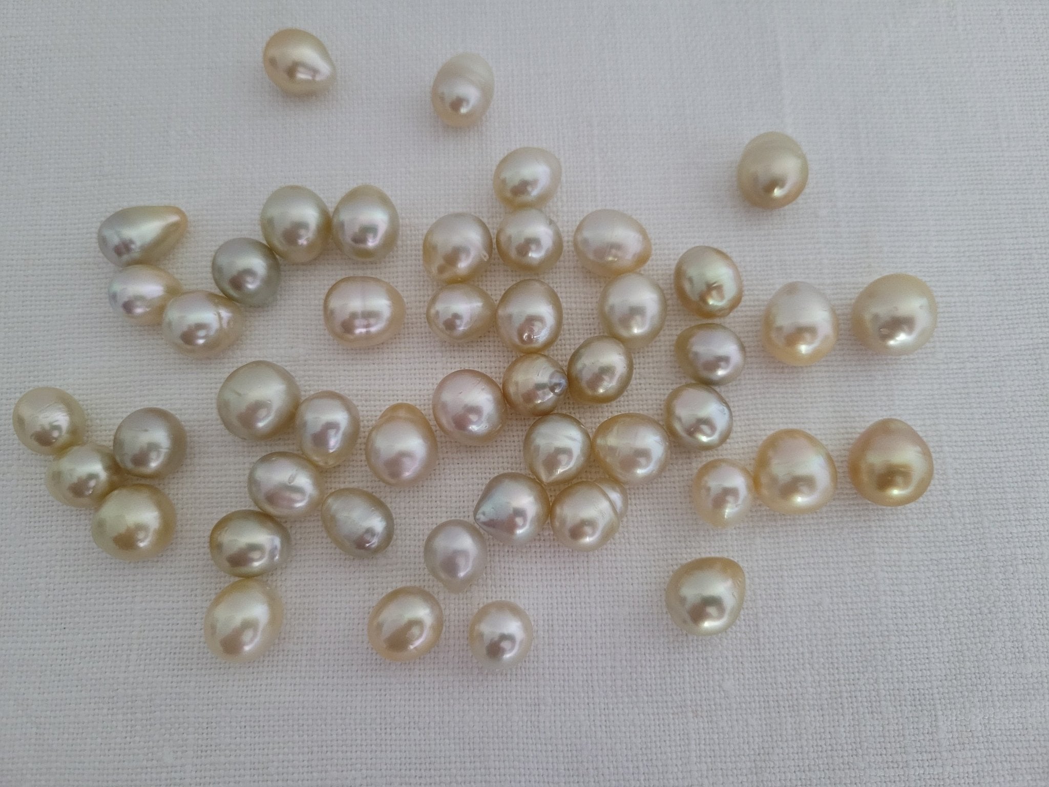natural pearl button - Size: 23mm - Color: white - Art.-Nr
