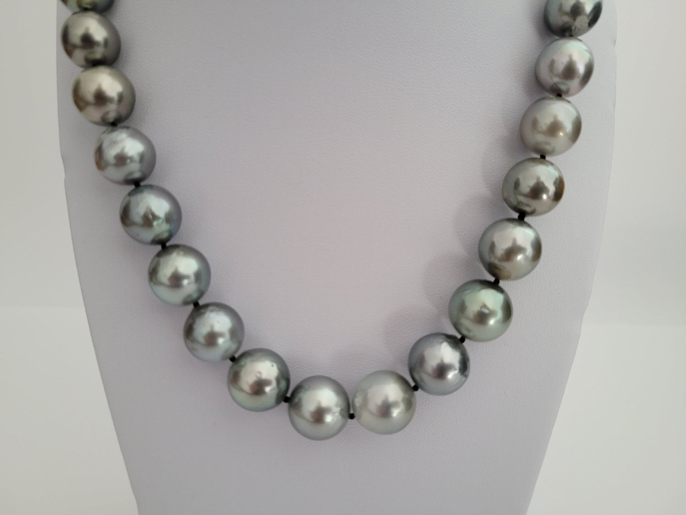 South Sea Pearls Complete Guide - The South Sea Pearl